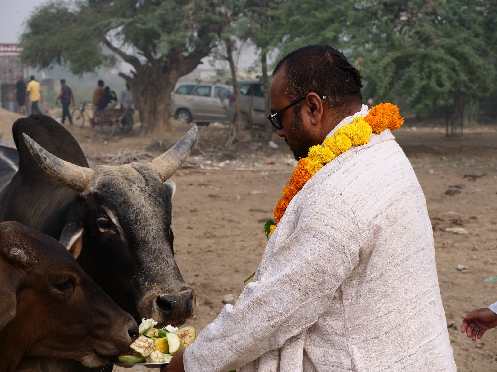  171 Gopashtami Radha kunda Govardhan 19.11.04